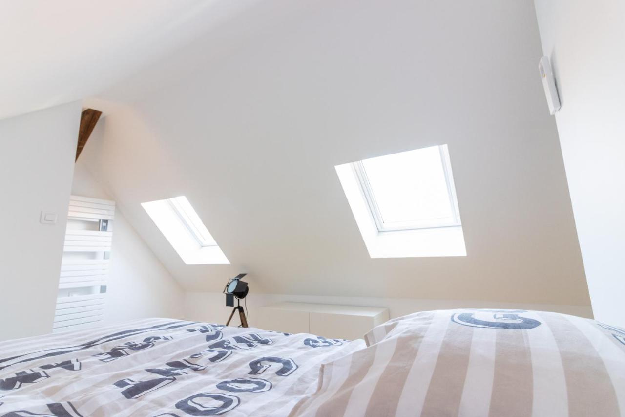 Magnifique Appartement Duplex Climatise De 40M² Nancy Bagian luar foto
