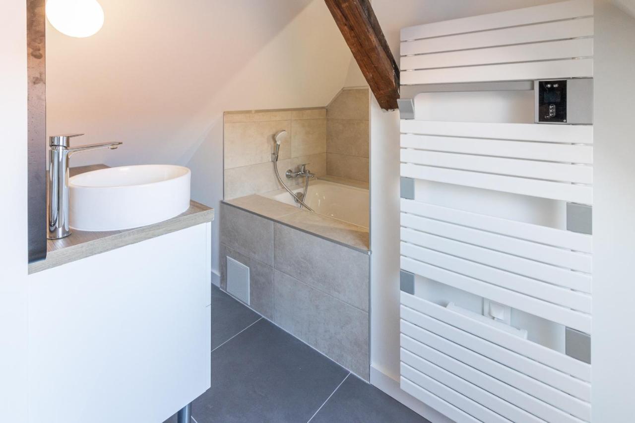 Magnifique Appartement Duplex Climatise De 40M² Nancy Bagian luar foto