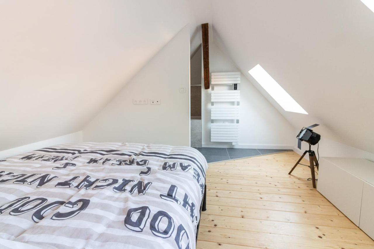 Magnifique Appartement Duplex Climatise De 40M² Nancy Bagian luar foto